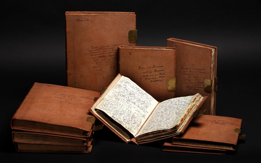 «Wilhelm und Alexander von Humboldt» im Deutschen Historischen Museum, Berlin
