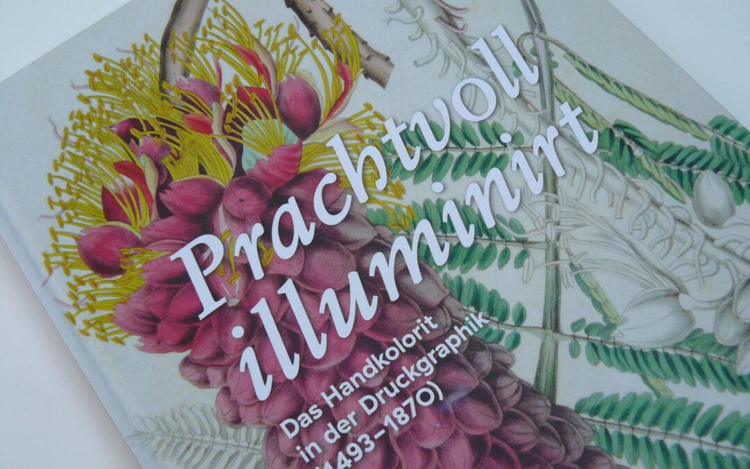 Prachtvoll illuminirt. Das Handkolorit in der Druckgraphik
